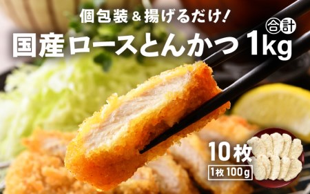 国産 豚肉 ロースとんかつ 計1kg！（100g × 10枚）地元の人気精肉店が手造り！個包装＆揚げるだけ！ [e02-a005]