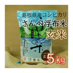 令和５年度収穫５キロ　さんべ浮布米　ファーム浮布　-ファーム浮布直送-