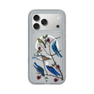 iPhone 17 Pro Max AirX 流變灰 - The British Library - 美洲鳥譜 ‧ 唐氏鶲鶯與藍鳥