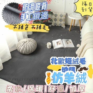台灣出貨🔥客製化 地毯 短絨毛地毯 北歐絨毛大地毯 客廳臥室房間床邊毯 毛地毯地墊小地毯 短絨毛地毯  超柔軟毛絨厚地毯