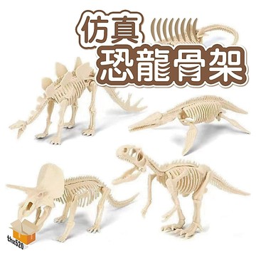 【台灣現貨】仿真恐龍骨架 仿真恐龍骨骼 實心動物模型 動物考古 恐龍化石 恐龍骨頭 恐龍骨架模型 骨骼玩具