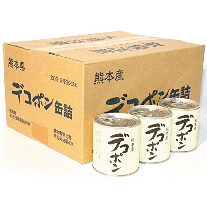 ＪＡあしきた デコポン缶詰 (24個（ダンボール）)