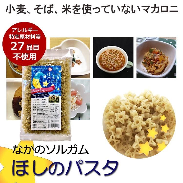 グルテンフリー ホワイトソルガム ほしのパスタ 200g 無添加 特定原材料不使用 小麦粉不使用 マカロニ 中野産業 産地直送 メール便 送料無料