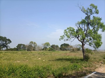 苗栗聯合大學旁, 苗栗大矽谷計劃, 丙建,｜苗栗縣苗栗市聯大段