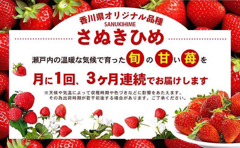 東かがわ市真っ赤な「いちご」の定期便（B）