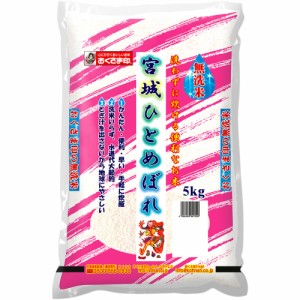 無洗米宮城県産ひとめぼれ 5kg 送料無料