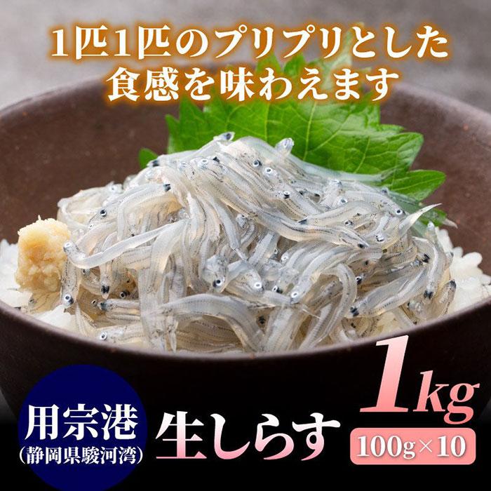 静岡県産 生しらす1kg（100g×10） しらす シラス 生シラス 冷凍 用宗港 駿河湾 静岡 静岡県 生しらす丼 メガ盛り 業務用