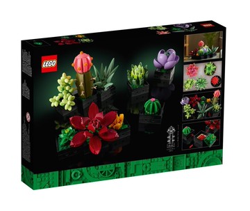 磚星球〡10309 創意系列 多肉植物 Succulents