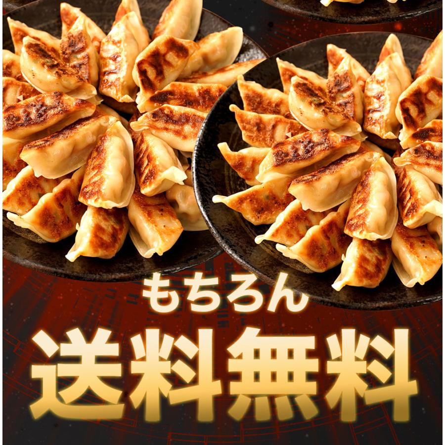 冷凍食品 餃子 ギョーザ ぎょうざ 100個（50個×２パック）焼き餃子 水餃子 蒸し餃子 焼ギョーザ 水ギョーザ