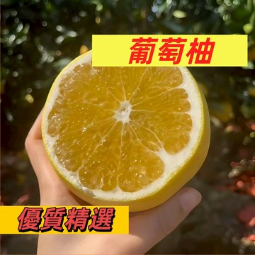 快速出貨【家裡種維他命C】葡萄柚種子｜酸甜多汁 自己種最安心｜陽台盆栽可種 淨化空氣｜親子共植 療癒首選 水果種子