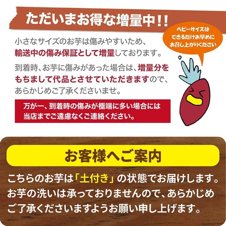 さつまいも 紅はるか ベビーサイズ 土付き 3kg (2.5kg 傷み保証分500g) (130g以下のSS〜Sサイズ） 2023年産