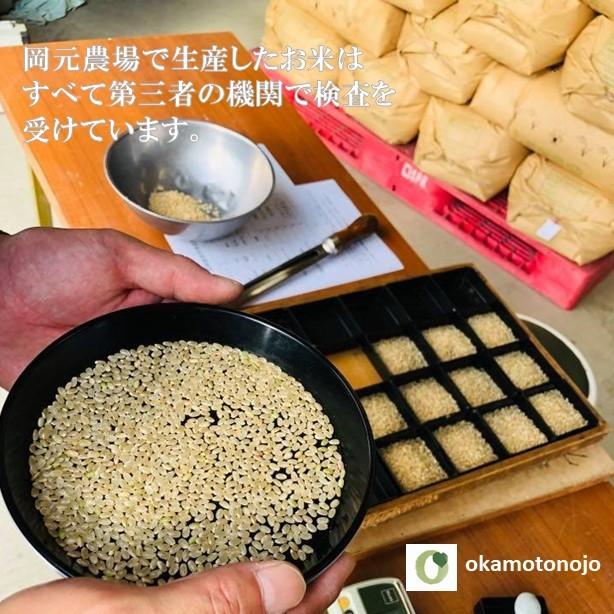 コシヒカリ　お米　5kg　玄米精白米選べる　一等米　石川県産　生産農家　農家直送米　送料込み