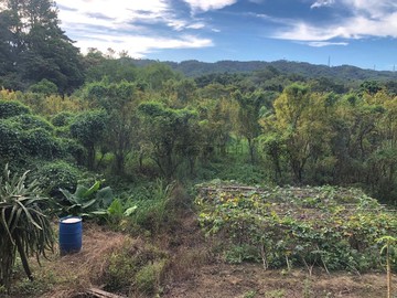 新竹橫山稀有一般農業區｜資產配置型土地｜新竹縣橫山鄉沙坑