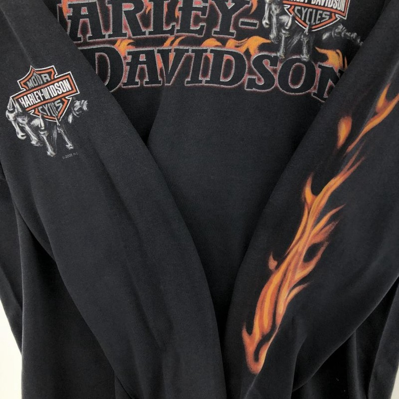 古着 00年代 ハーレーダビッドソン Harley-Davidson ファイヤー