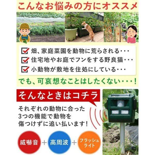 2台セット 動物撃退器 大型 大音量 野良猫 撃退 撃退器 猫よけ ネズミ 強力 超音波 野良猫 光 赤外線 超音波 センサー ソーラー USB充電 害獣 野良猫対策 退治