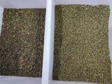 多功能花椒色選機智能分選雜糧豆類一機多用產量高微色差廠家直銷