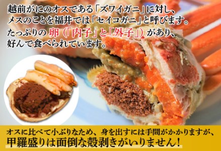 冬の味覚！越前 せいこがに 甲羅盛 6個セット