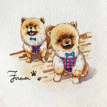 【菊島一隅】寵物似顏繪|毛小孩 貓 狗 鳥 刺蝟 羊 倉鼠