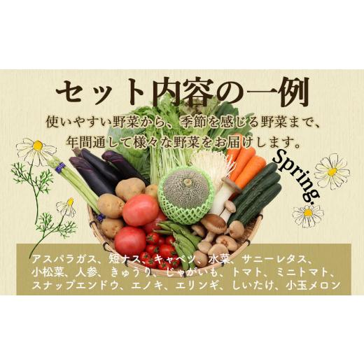 ふるさと納税 長崎県 雲仙市 定期便 12回コース 贅沢 野菜 セット どっさり 16品目以上 季節の野菜 フルーツ キノコ 詰め合わせ   吉岡青果   長崎県 雲仙市[i…