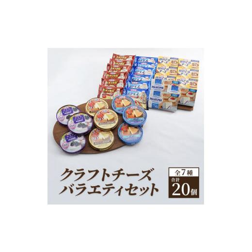 ふるさと納税 神奈川県 綾瀬市 クラフトチーズバラエティ２０個セット
