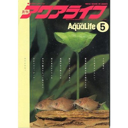 アクアライフ　　１９８９年５月号　　＜送料無料＞