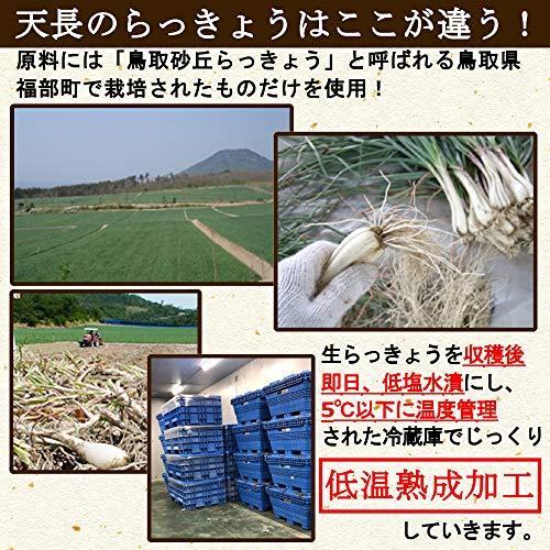 天長食品 らっきょう漬け 190gX2袋 鳥取砂丘 無添加 国産 低温熟成