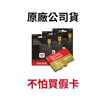 SanDisk Extreme GO 1TB 512G 256G A2 V30 microSDXC 高速記憶卡 廠商直送