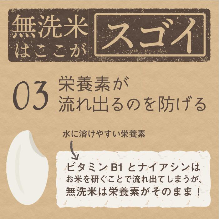 無洗米 新潟県産 コシヒカリ 特別栽培米 5kg 令和5年産 新米 こしひかり 5キロ 農家直送 減農薬