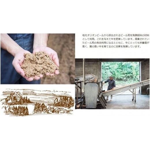 ふるさと納税 沖縄県 本部町 もとぶ牛モモステーキ(自宅用)400g