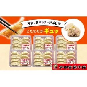 ふるさと納税 「宇都宮餃子館」のお肉餃子 8個入り×6パック(計48個) 栃木県宇都宮市