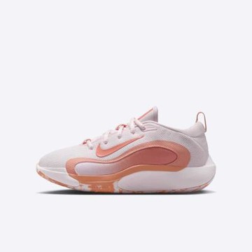 Nike 耐吉 Isofly GS [FN4384-601] 大童 籃球鞋 運動鞋 緩震 粉橘