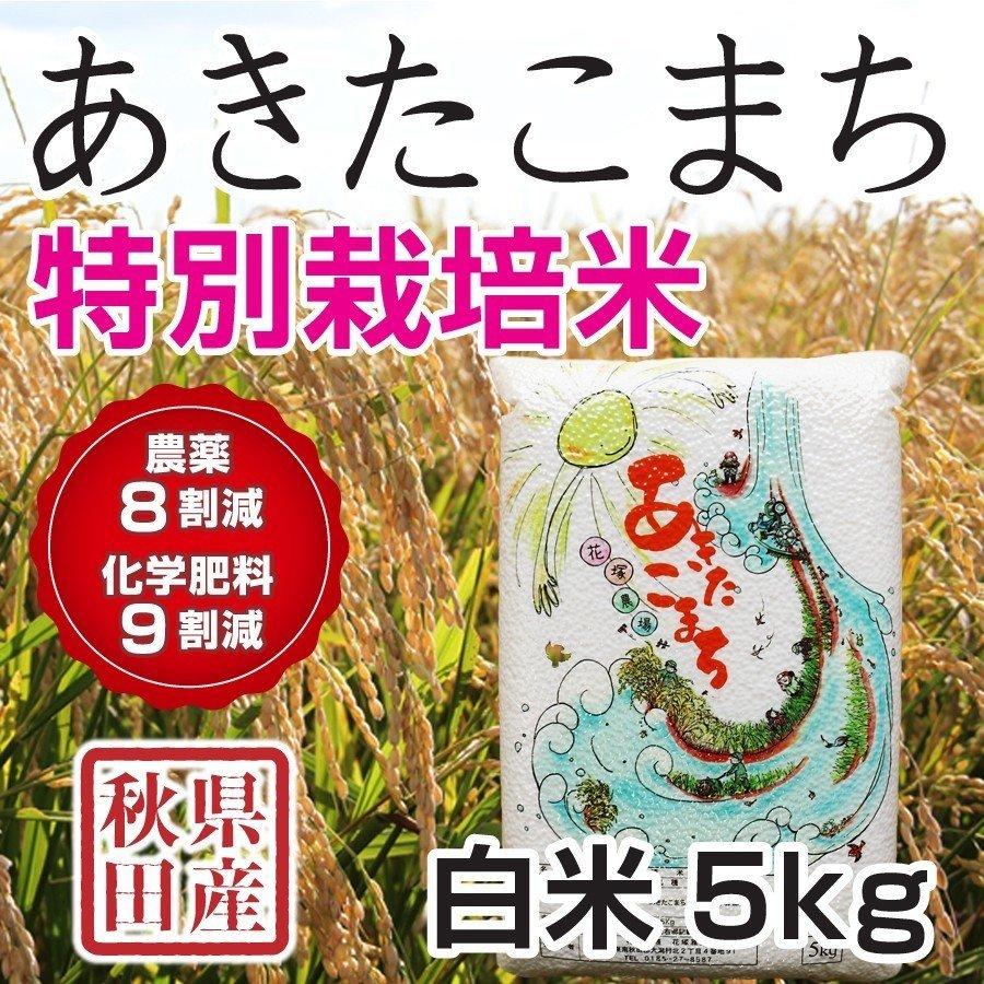 白米 令和5年産新米 秋田県産 あきたこまち 特別栽培米 5kg 農薬８割減 化学肥料９割減 慣行栽培比 農家直送