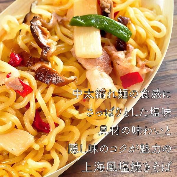 上海風塩焼そば 1食 200g レンジ対応 冷凍食品 国産 総菜 日東ベスト