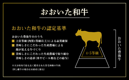 A01131 厳選A4～A5等級 おおいた和牛 ヒレステーキ 4枚 400g