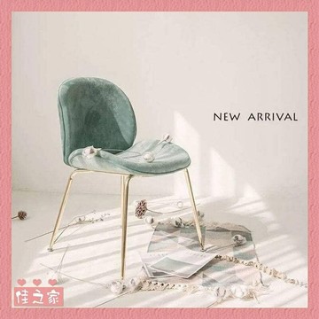 臺灣現貨+預購❤️免運 輕奢餐椅 簡約梳妝椅 靠背家用臥室書桌椅 甲殼蟲椅子 網紅化妝椅 梳妝