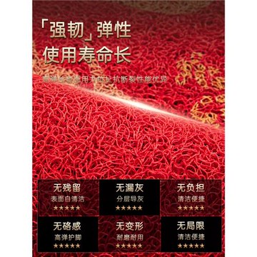 入戶門地墊進門口一梯一戶玄關紅色腳墊馬年耐臟免洗2026新款地毯