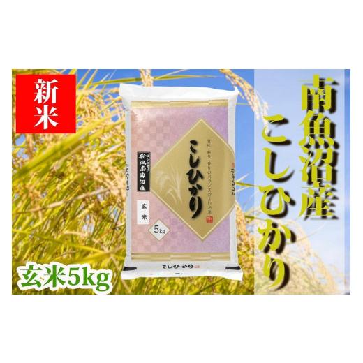 ふるさと納税 新潟県 南魚沼市 南魚沼産コシヒカリ「YUKI」（玄米5kg）