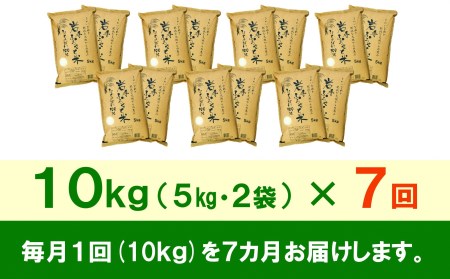 3人に1人がリピーター!☆全7回定期便☆ 岩手ふるさと米 10kg(5㎏×2)×7ヶ月 令和5年産 新米 一等米ひとめぼれ 東北有数のお米の産地 岩手県奥州市産[U0166]