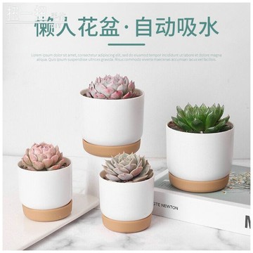 迷你花瓶🌷 仿陶瓷塑料白色多肉花盆肉肉小盆栽自吸水樹脂大小花盆工具石子