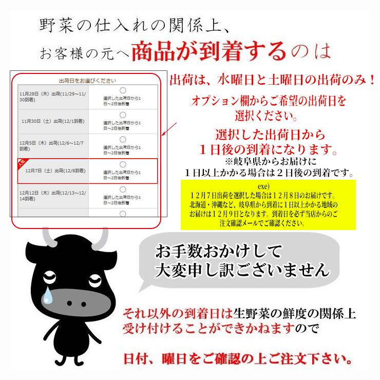 お歳暮  御歳暮  2023 肉 ギフト 和牛 すき焼き肉 飛騨牛 すき焼き鍋セット 2人前 野菜 割下付 牛肉 黒毛和牛 鍋 内祝  お祝