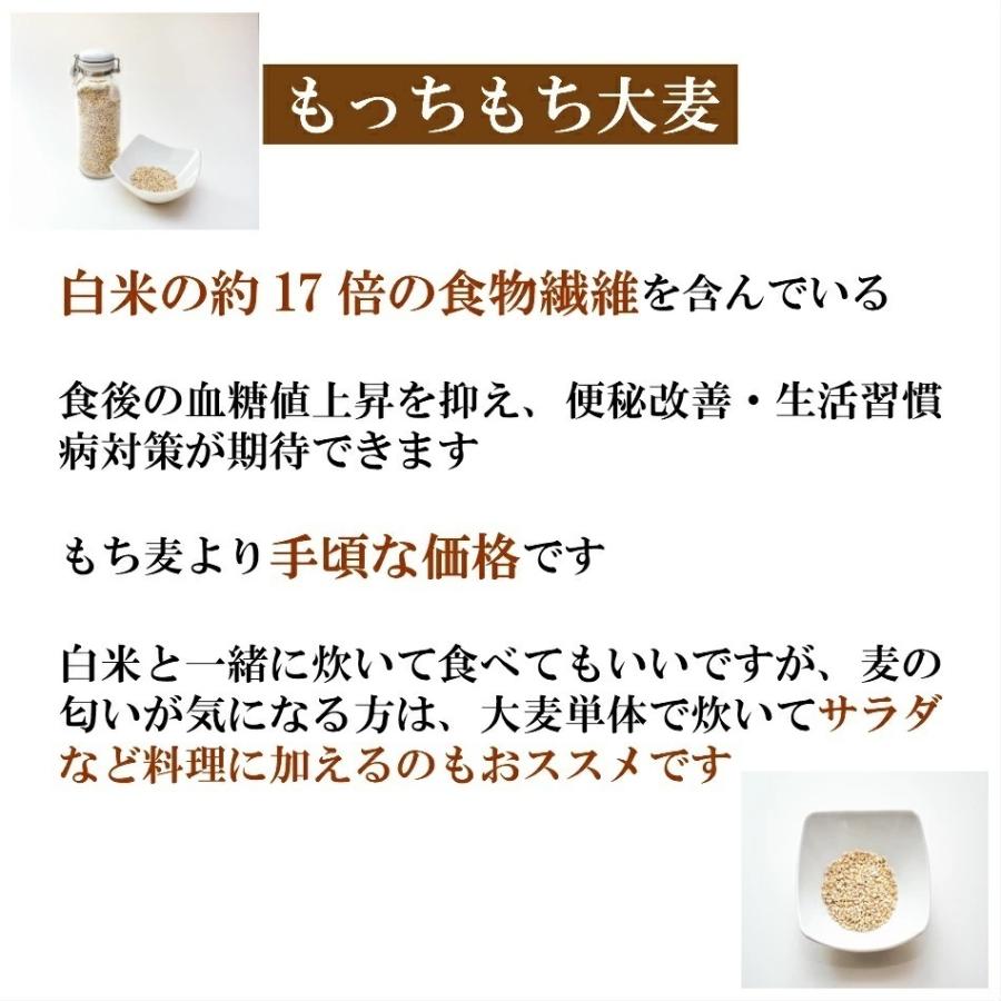 国内産 もっちもち大麦 950g×5袋 チャック付き α化処理 ポイント消化 雑穀米 食品 美容 ダイエット 国産 送料無料 ※北海道・沖縄の方は別途送料加算