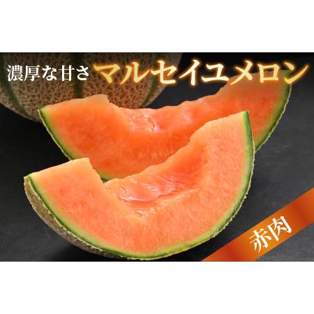 ふるさと納税 小玉スイカ・マルセイユメロン セット 計2玉入（約3kg〜4kg）  秀品 ／ 果物 フルーツ 産地直送 ※2024年6月発送 福井県あわら市