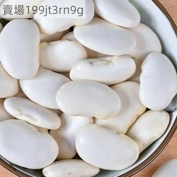 現貨 白芸豆種子（50粒）四季高產 豆角 當季新籽 產量高 營養豐富 陽台庭院盆栽 新手易種植 #農家自留 蔬菜種子