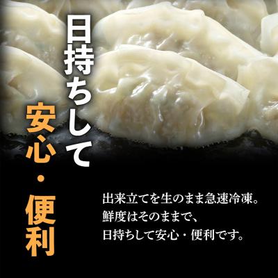 ふるさと納税 鹿児島市 鹿児島黒豚100%餃子　32個入り