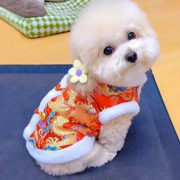 🔥臺灣出貨🔥宠物衣服皇上龙袍秋冬季保暖小猫英短布偶蓝猫狗狗猫咪春秋衣服