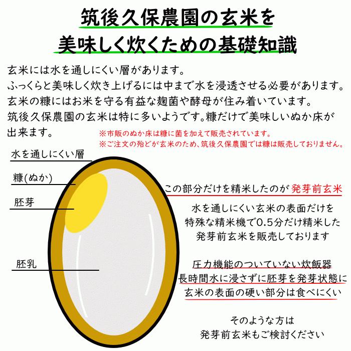 無農薬 無肥料 栽培米 15Kg 玄米 福岡県産 令和5年度産 元気つくし 筑後久保農園 自然栽培米