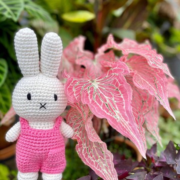 荷蘭 Just Dutch | Miffy 米飛兔 編織娃娃和她的新桃紅吊帶褲