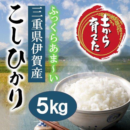 名古屋食糧 三重県伊賀産 コシヒカリ 5kg 令和5年産