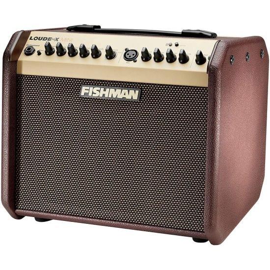 Fishman PRO-LBT-500 Loudbox Mini アコースティック ギター Bluetooth アンプ