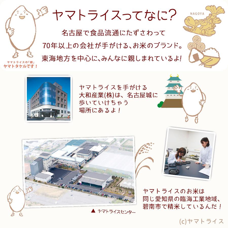 福井県産 いちほまれ 白米 5kg 令和4年産